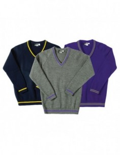 JERSEY COLEGIAL DE PUNTO 2