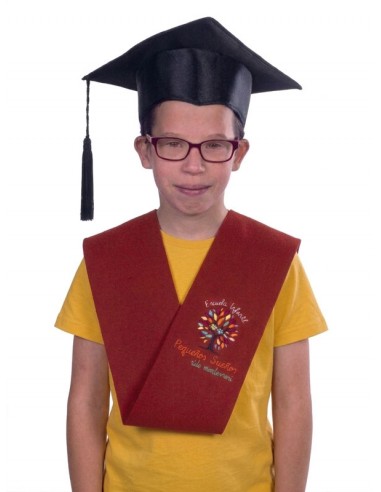 Birrete de Graduación Infantil y...